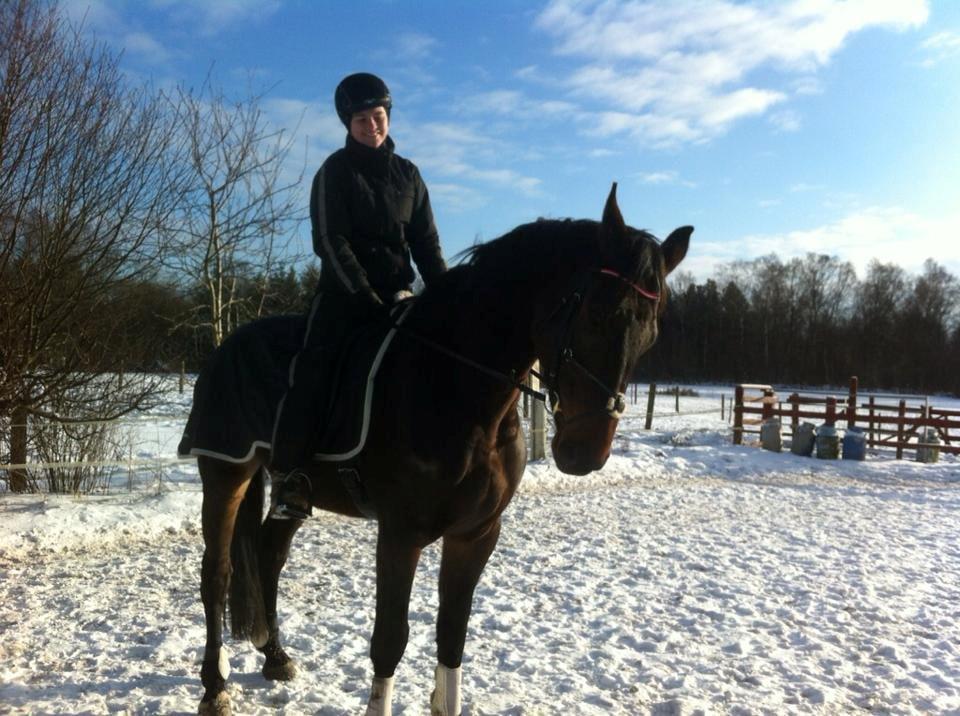 Holstener Columbus B - Baby boy <3  billede 8