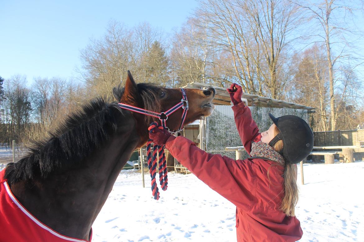 Anden særlig race La-Paloma - Giv mig lige én grund til ikke at elsker hende? :b billede 11