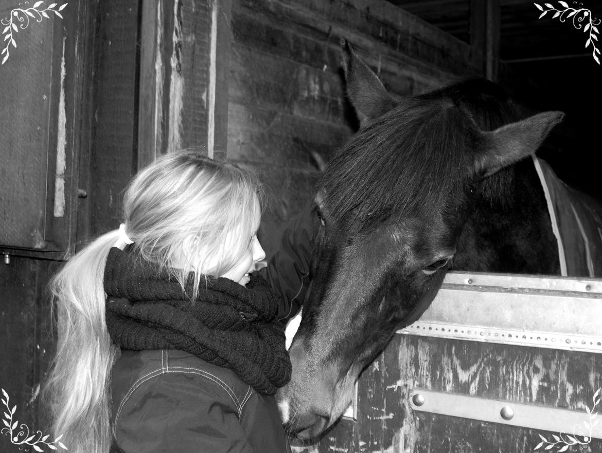 Svensk Sportspony  Barbie girl - Anden gang vi prøvede Barbie hos Trine :D billede 4