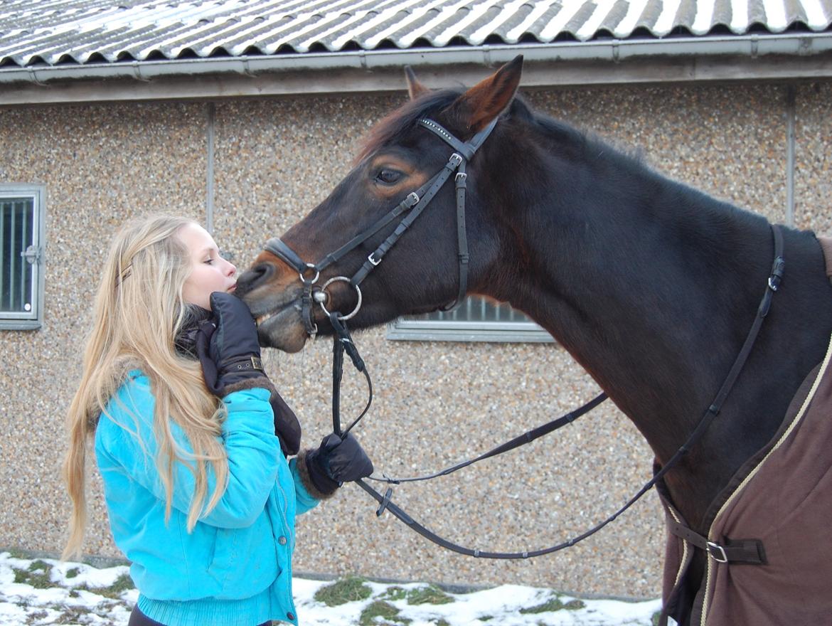 Svensk Sportspony  Barbie girl - Kyyyyyyyyys <3 billede 5