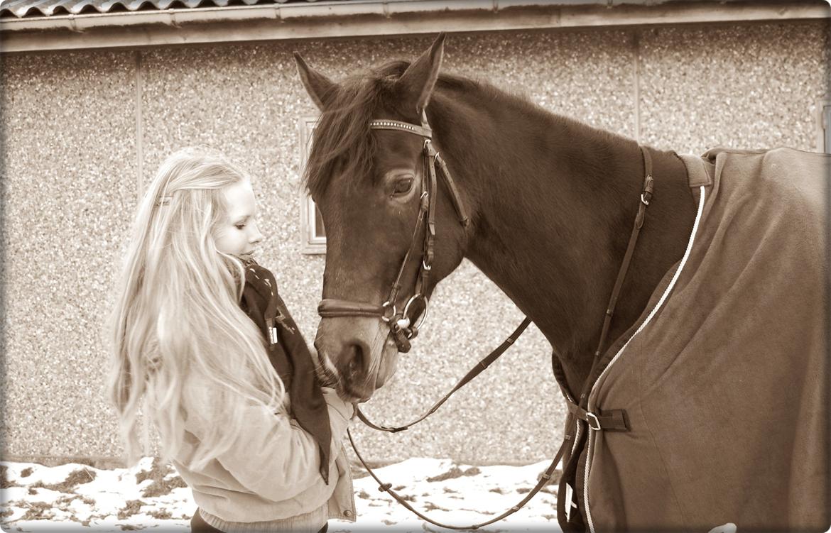 Svensk Sportspony  Barbie girl billede 9