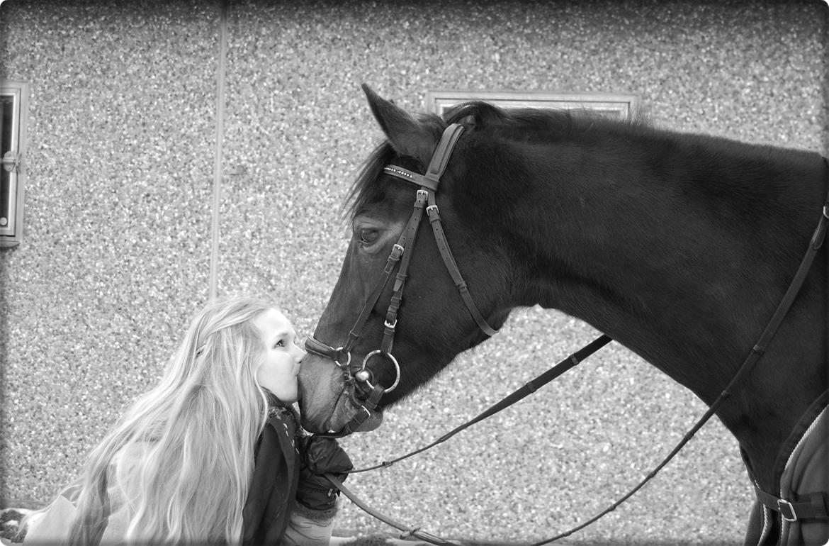 Svensk Sportspony  Barbie girl billede 12