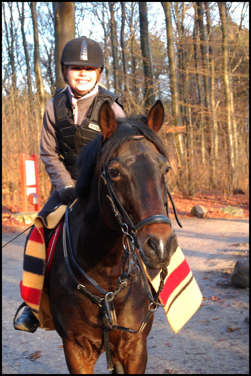 Svensk Sportspony  Barbie girl - En lille tur :D billede 13