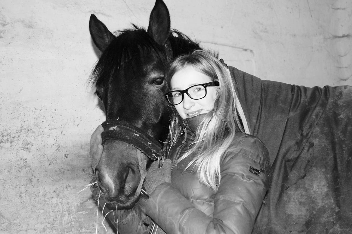 Svensk Sportspony  Barbie girl - Frederikke og Barbie billede 18