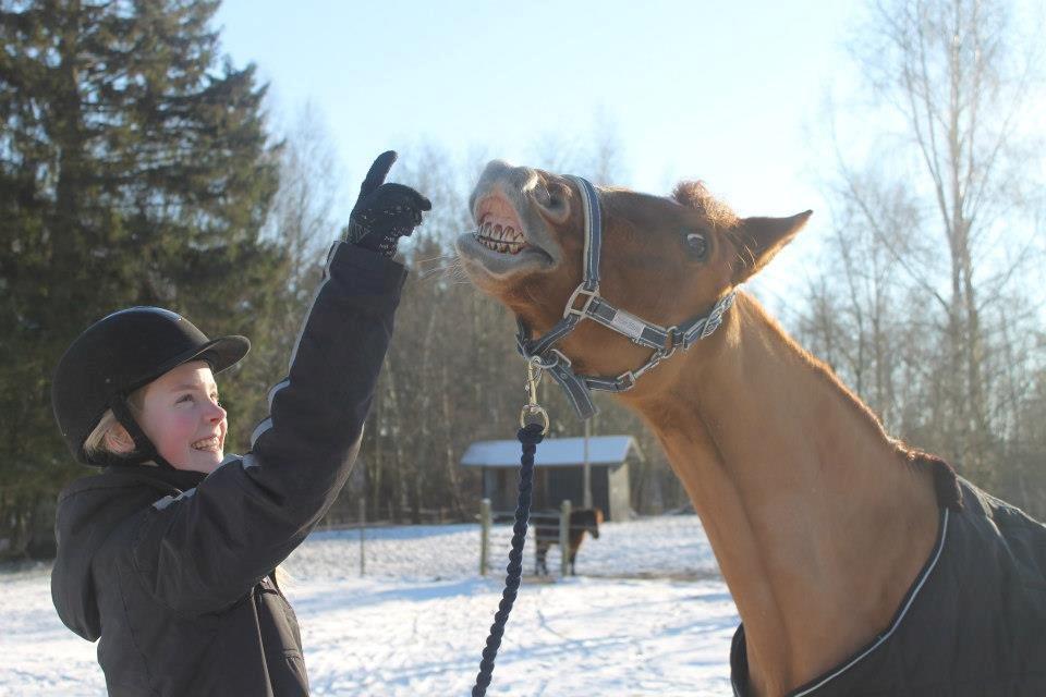 Anden særlig race Celina - Du betyder så utroligt meget for mig, din skøre krikke!:-D Foto: Felippa.  Tak fordi i kiggede forbi Celinas profil. Læg gerne en kommentar og en bedømmelse;-) billede 26