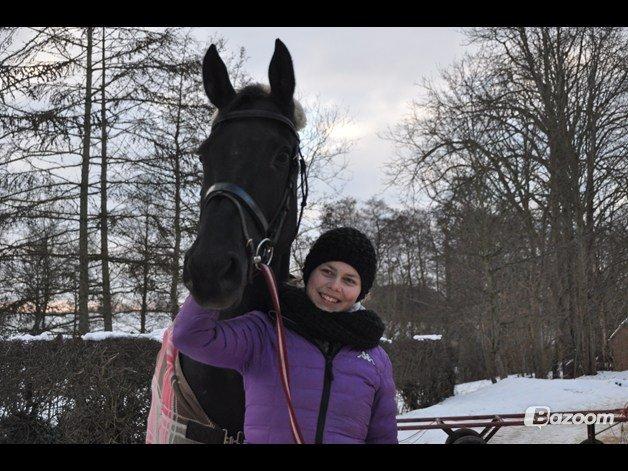 Dansk Varmblod Amy<3 Stjerne på himlen <3 - Minskat<3<3
Tusind tak fordi at i kiggede hendes profil igennem. Smid meget gerne en bedømmelse + kommentar :-) billede 20