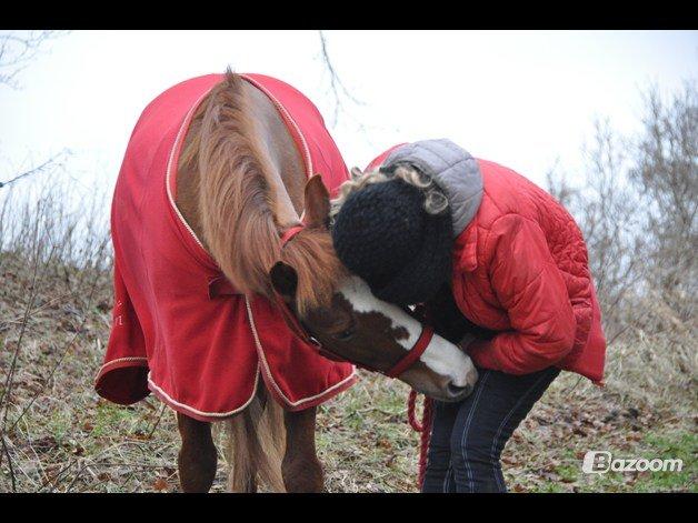 New Forest Stegstedgård's Pixeline<3 VBP<3 - Der er kun en sol, en måne, en jord og der er kun en dig <3

Du en ener Pixe, savner dig så forfærdelig meget!:-( 

Tak fordi i kiggede forbi, læg meget gerne en bedømmelse + kommentar ;-) billede 20