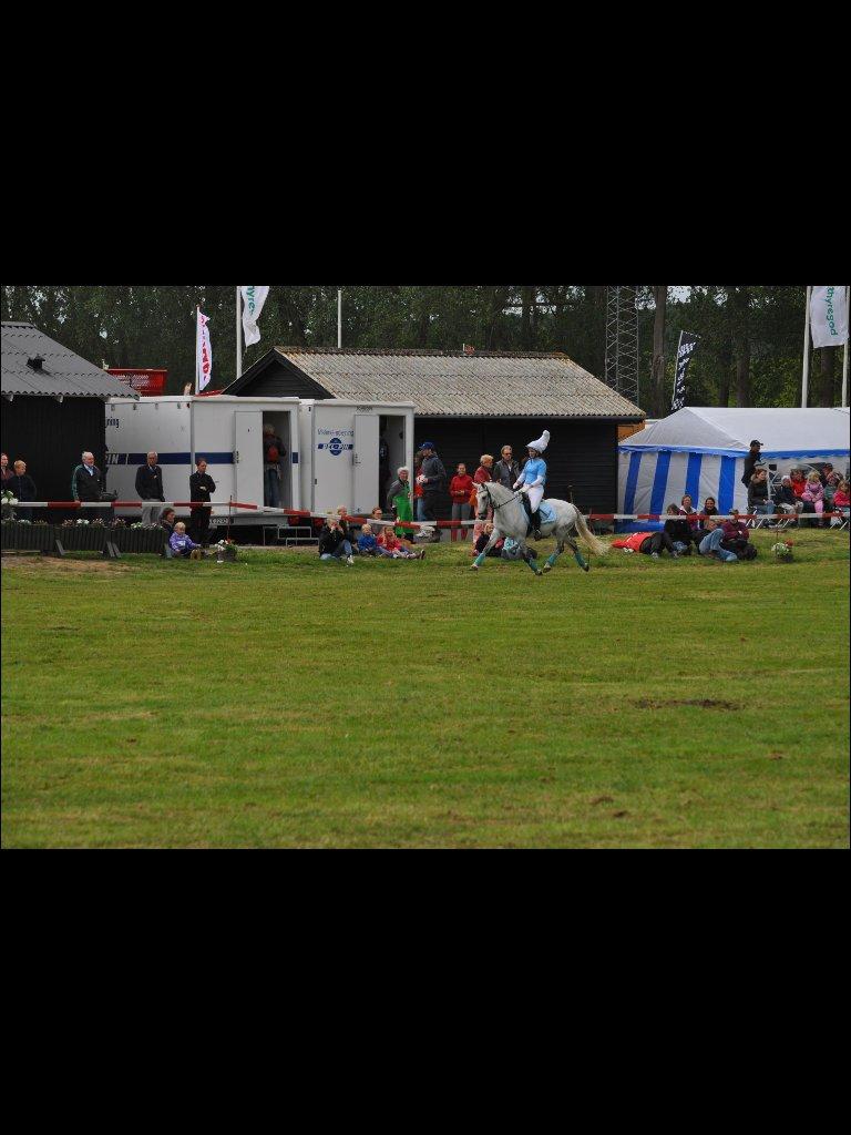 Connemara Pattys beseme mucho - B-PONY billede 16