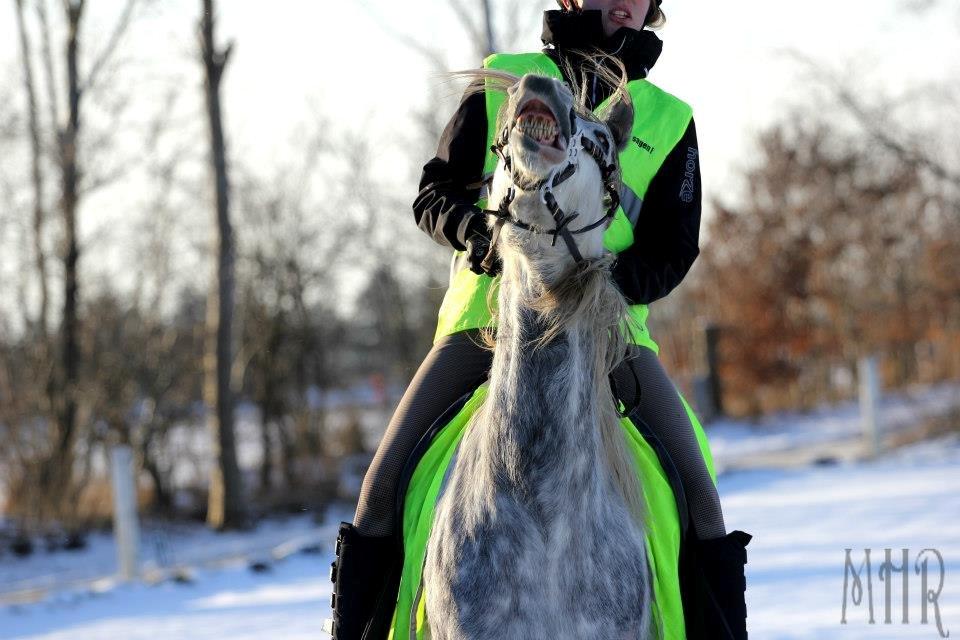 DSP Filuca A Egelykken (Distance hyp!) - Smiiiile! ☺
Foto: Maria Rasmussen billede 12