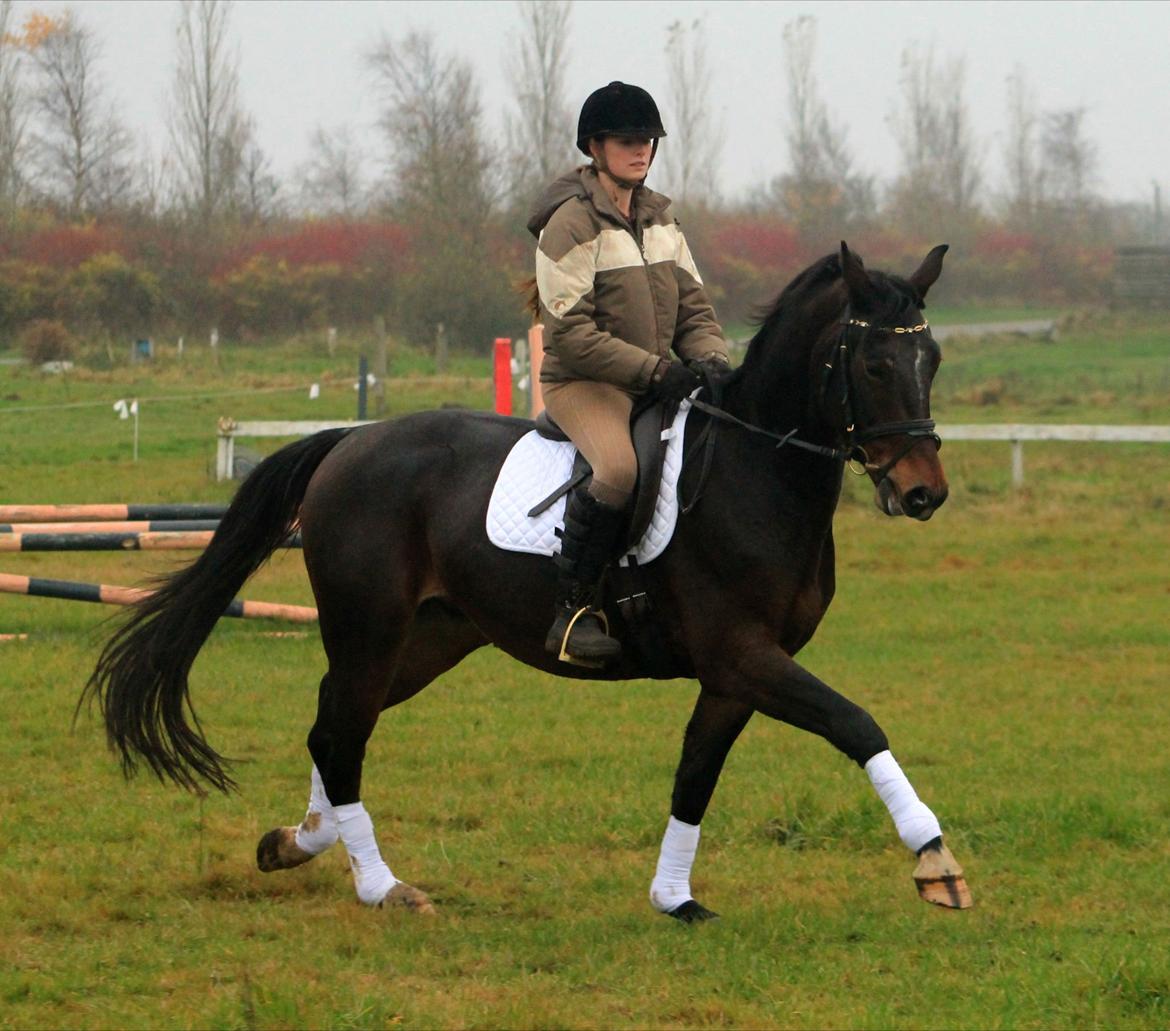 Oldenborg Ravnkjermindes Navigator billede 12