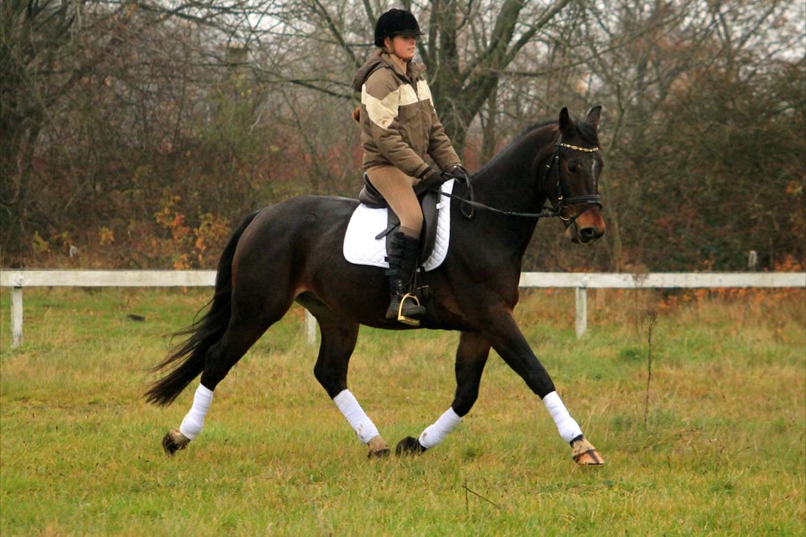 Oldenborg Ravnkjermindes Navigator billede 13