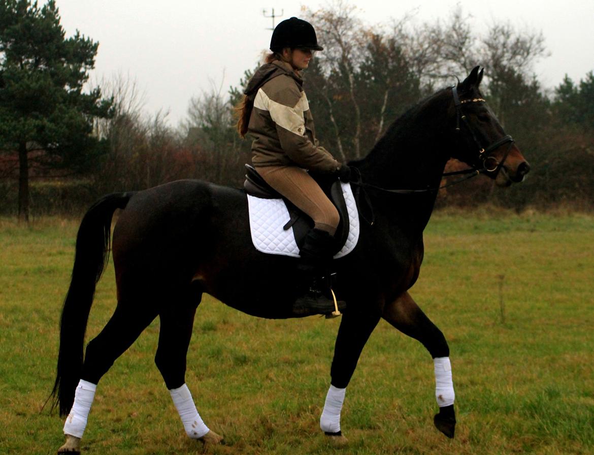 Oldenborg Ravnkjermindes Navigator billede 18