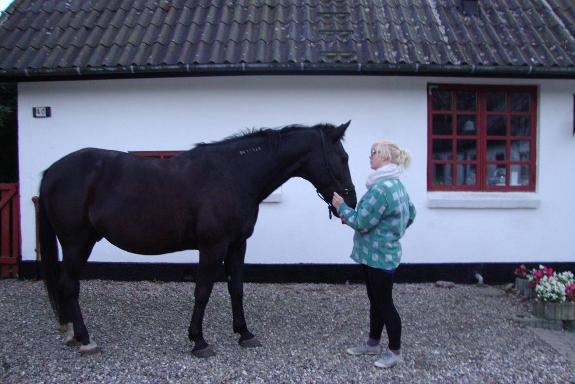 Traver Air Max billede 20