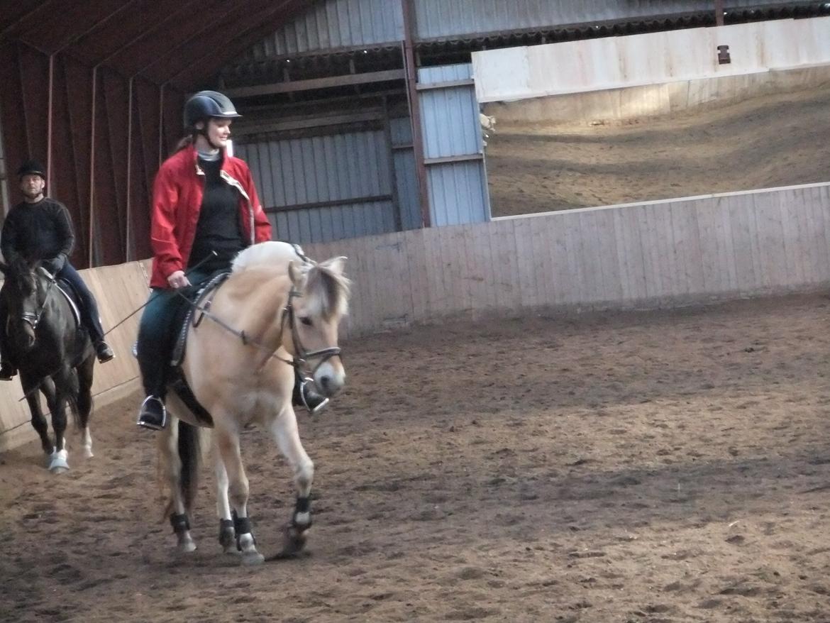 Fjordhest Laulundens Mikado - Til undervisning i Lem Ride-
rideklub 2012 billede 10