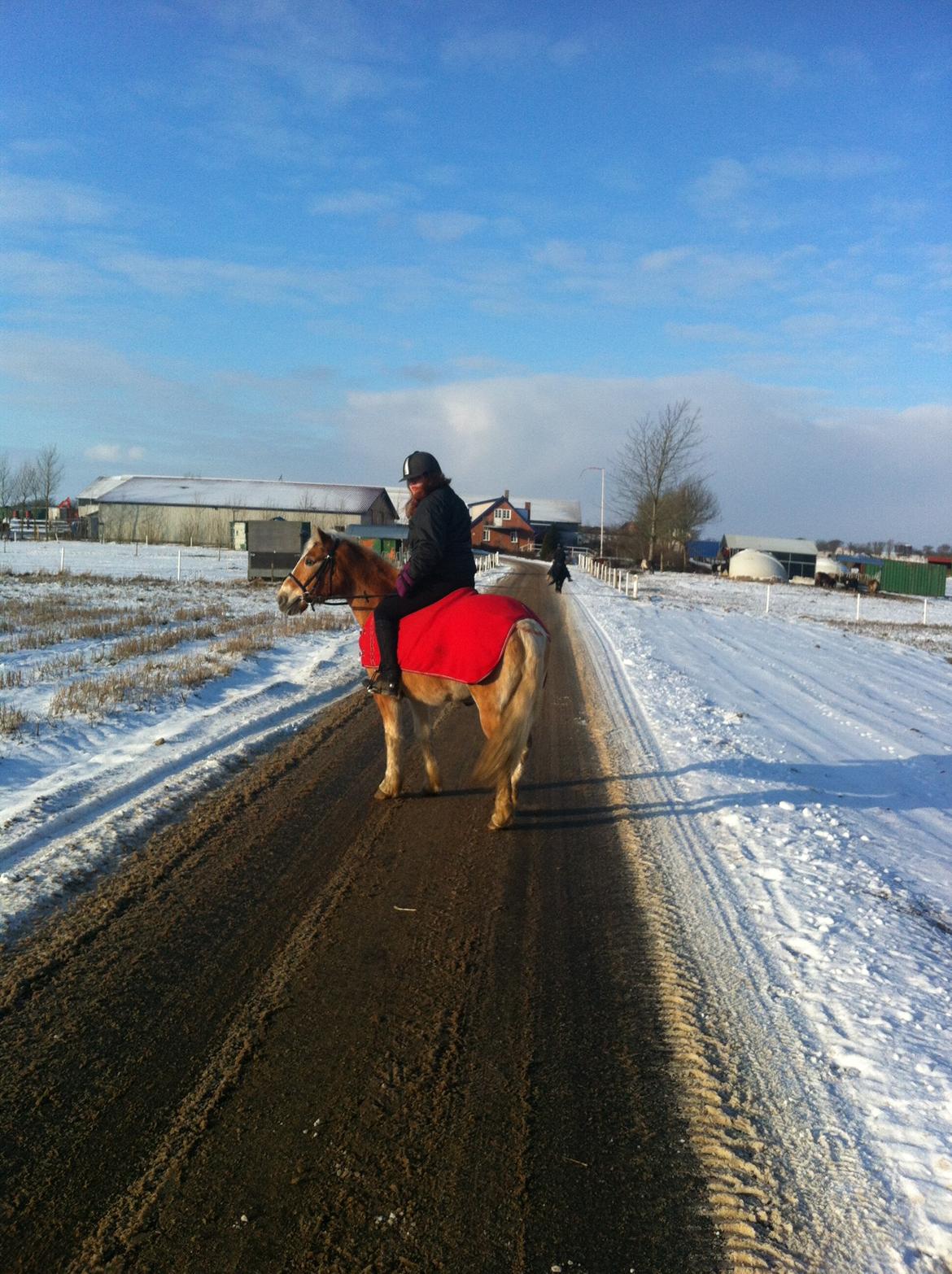 Haflinger Dominique Høgh - Første ride tur i år :D billede 14