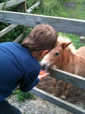 Anden særlig race Fila af Brobygaard billede 6