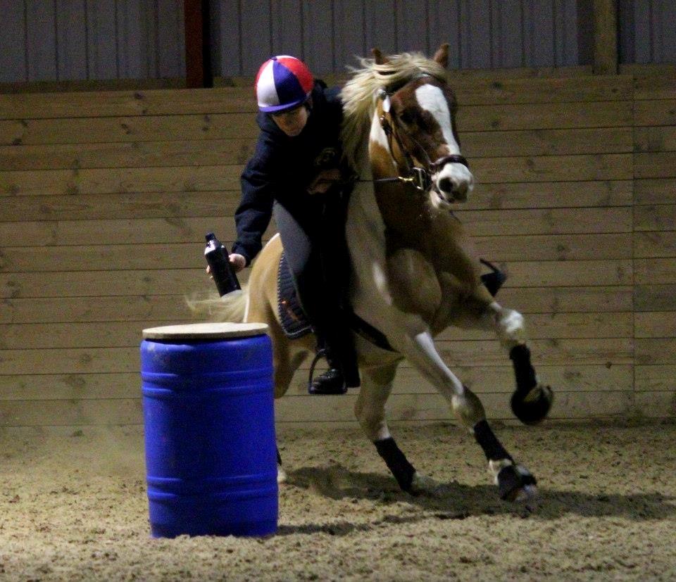 Anden særlig race Royal Rocky - Rocky's første træning indendørs. Han var så dygtig! :-)  billede 1