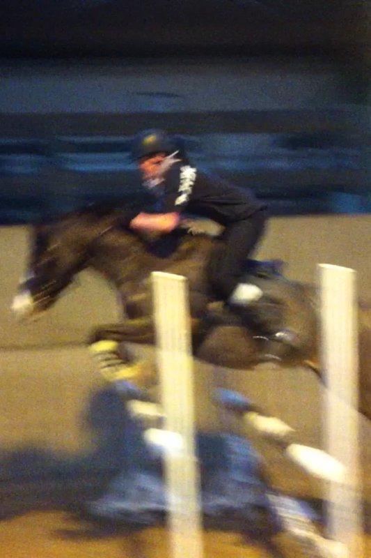 Anden særlig race Picasso [R.i.p] - Sorry kvaliteten! Det er screenshot fra en video på min iPhone! <3  billede 3