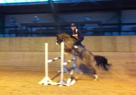 Anden særlig race Picasso [R.i.p] - Sorry kvaliteten! Det er screenshot fra en video på min iPhone! <3  billede 4