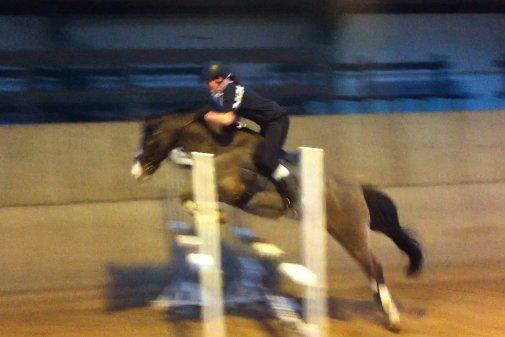 Anden særlig race Picasso [R.i.p] - Sorry kvaliteten! Det er screenshot fra en video på min iPhone! <3  billede 5