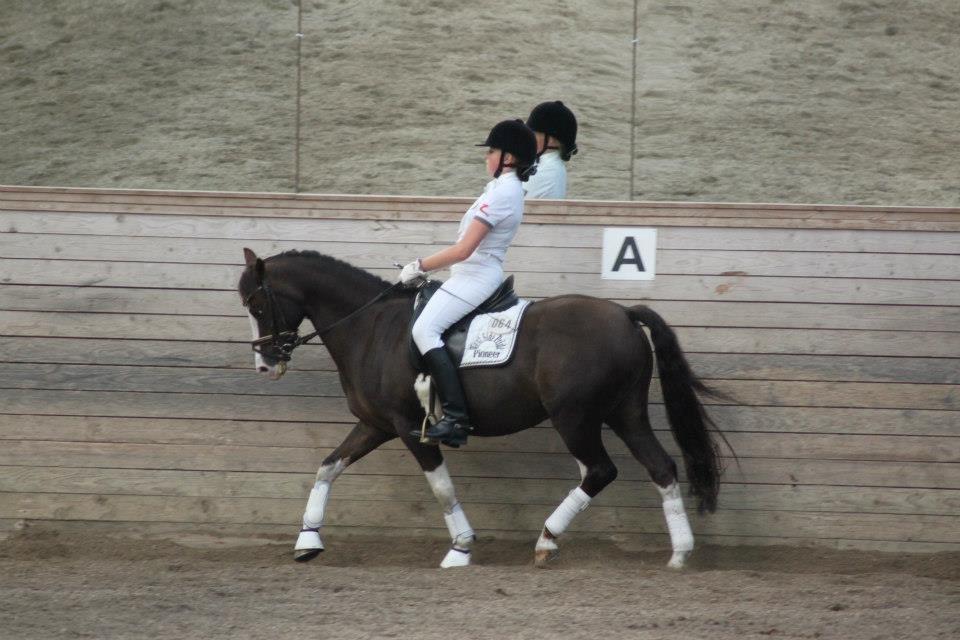 Welsh Partbred (Sec F) West Side Pride Pioneer - Opvarmning til sydbanks cup for hold på Noagård. Foto: Signe Andersen billede 4