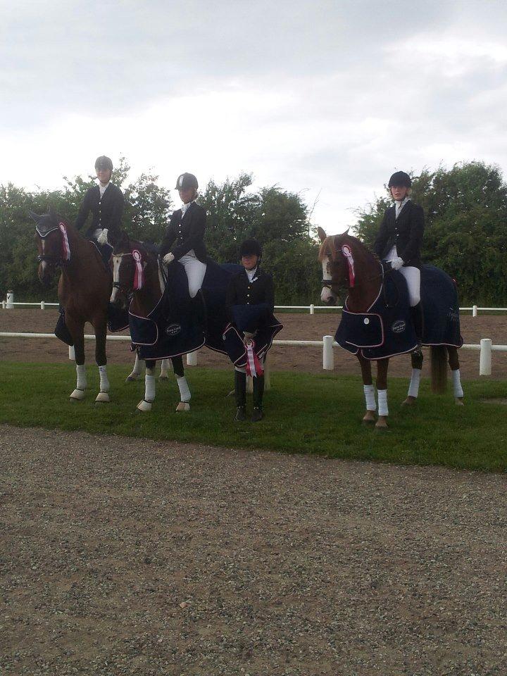 Welsh Partbred (Sec F) West Side Pride Pioneer - Vinder af sydbanks hold cup 2012. Fra Venstre: Cathrine Olsen, Stine Damkær og Klara Nilsen. Foto: Cathrine's Mor billede 9