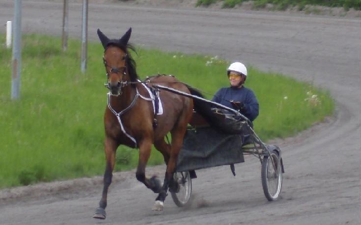 Traver Impish Guy billede 5