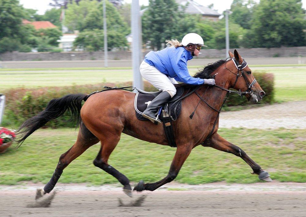 Traver Impish Guy billede 4