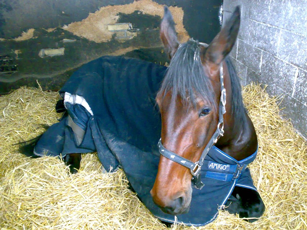 Traver Lane Earth - jeg ligger liger og tager en lur billede 1