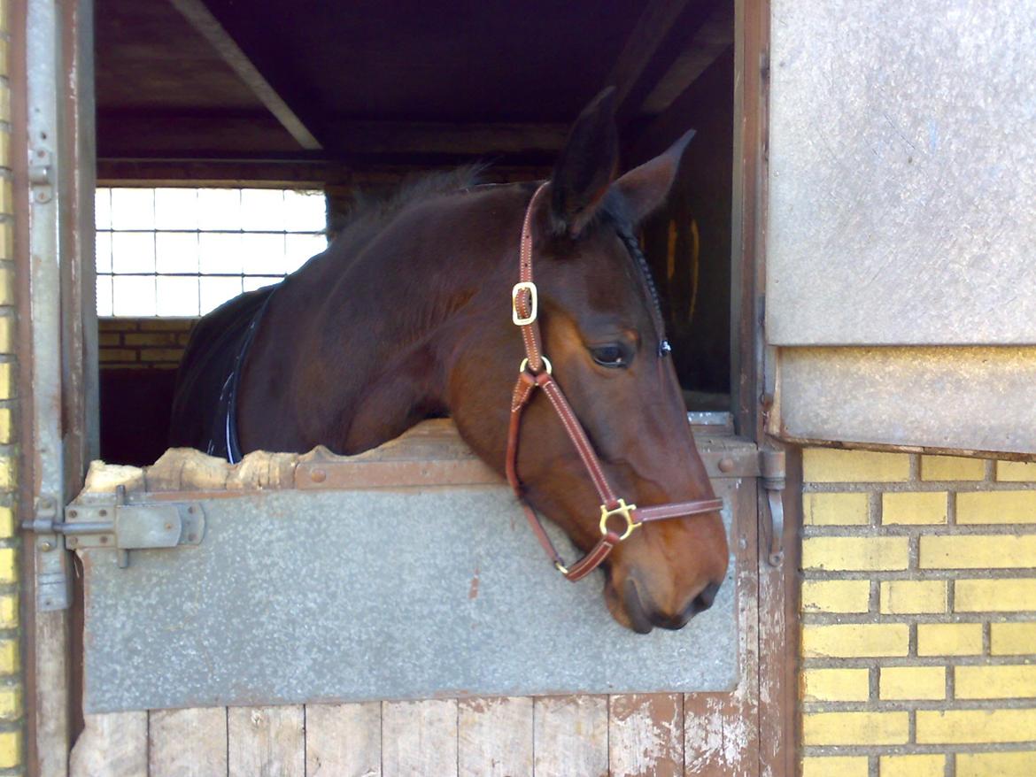 Traver Lane Earth - jeg er klar til vi kan køre billede 5