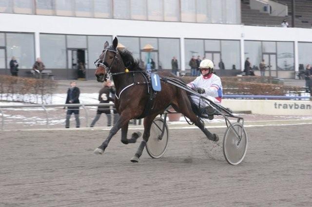 Traver Lane Earth - her vinder lane på charlottenlund travbane billede 6