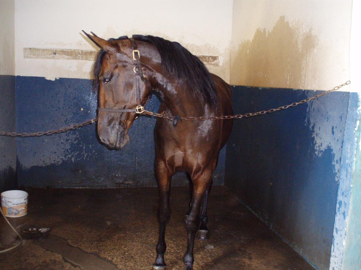 Traver Lane Earth billede 10