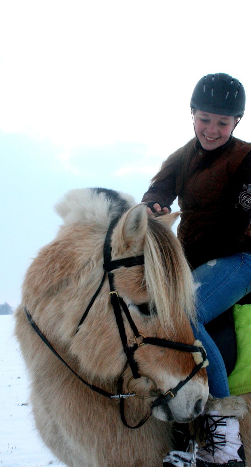 Fjordhest PH's Dandie - Mille og Dandie på årets første tur 2013 billede 1