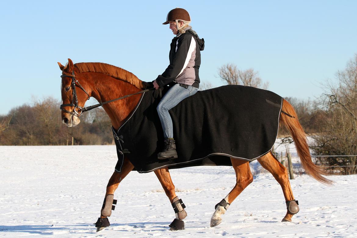 Fuldblod (XX) Maphard *Møffe* - Møffe og mig :o) Foto: Freja Sif billede 7