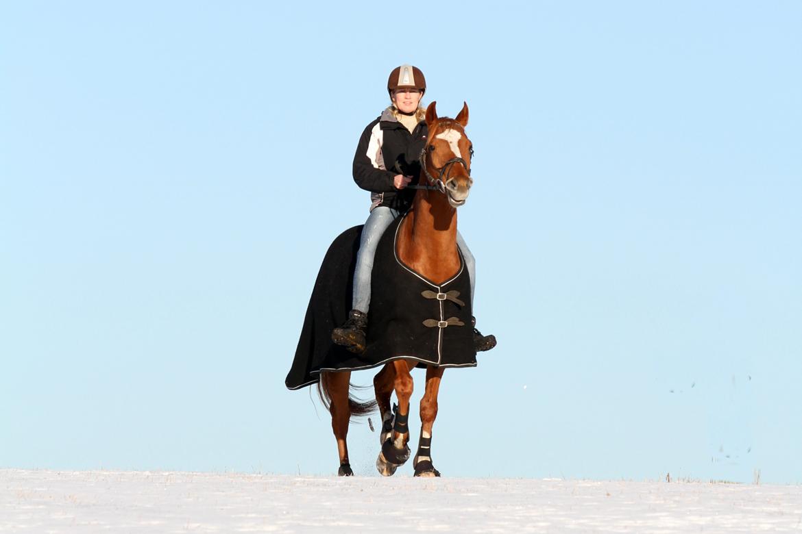 Fuldblod (XX) Maphard *Møffe* - Møffe og mig :o) Foto: Freja Sif billede 3