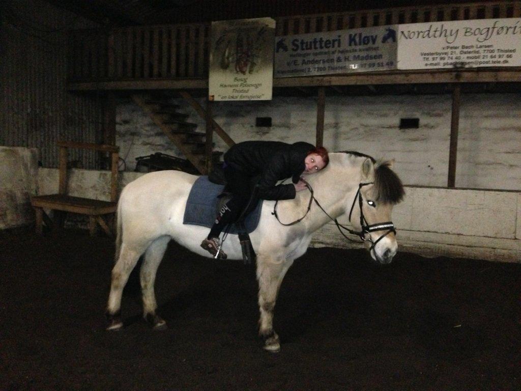 Fjordhest Hellebert`s Musse "solgt" - i love you. <3 billede 6