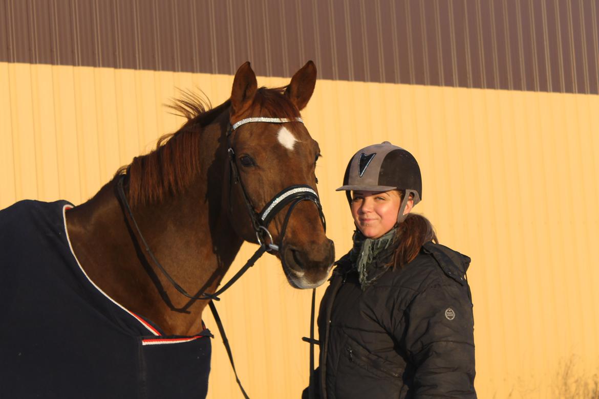 Hannoveraner Wikinger ;) - Dec 2012 billede 10