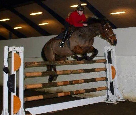 Holstener Lasse - Højdespring på Lassebaben 150cm:D billede 19