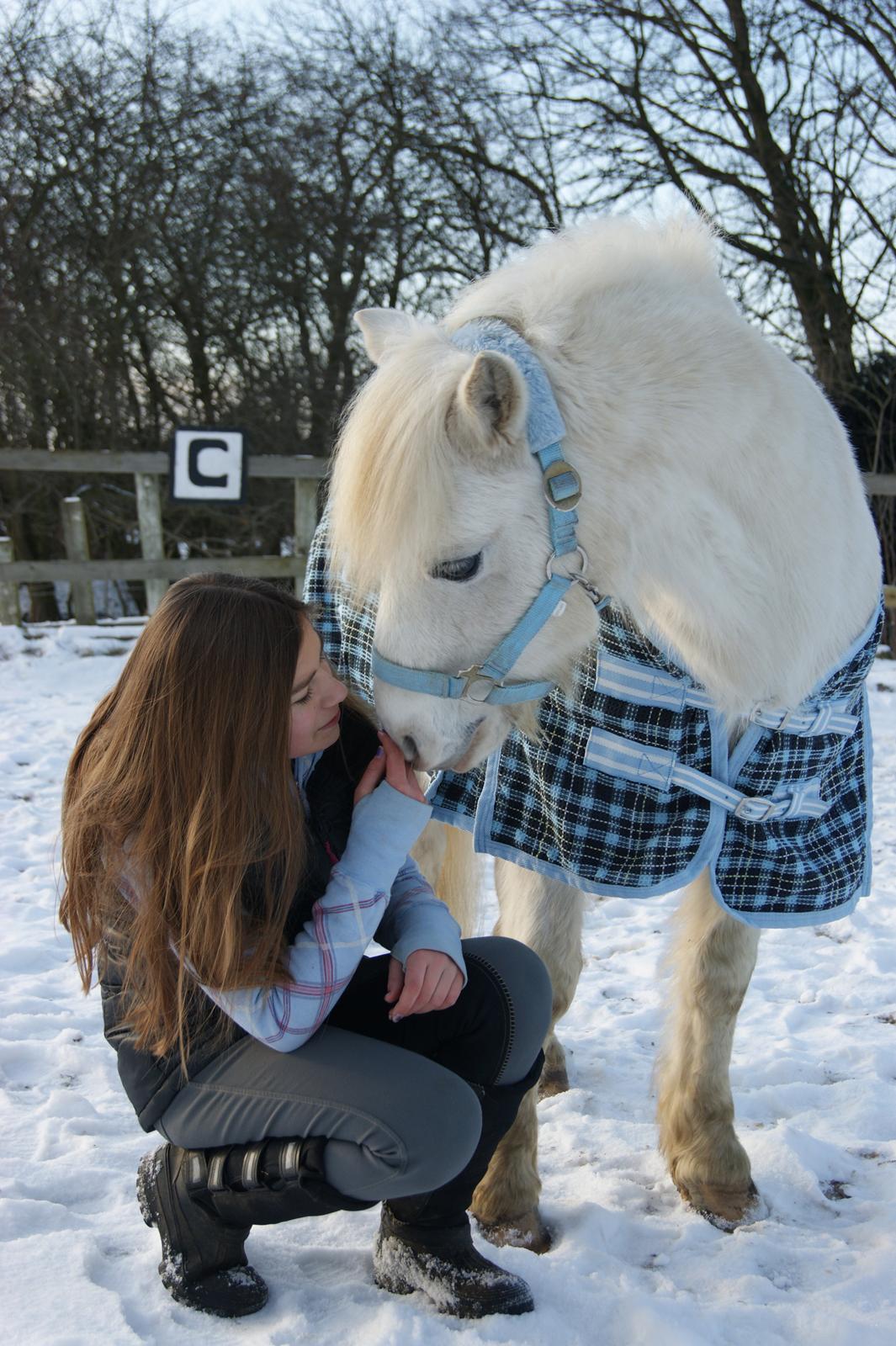 Anden særlig race George (Geomanse) - Baby<3 Du var jo det mest værdifulde på den her jord! Du har betydet så sindsygt meget for mig og du har virkelig lært mig hvordan man elsker en pony!  billede 1