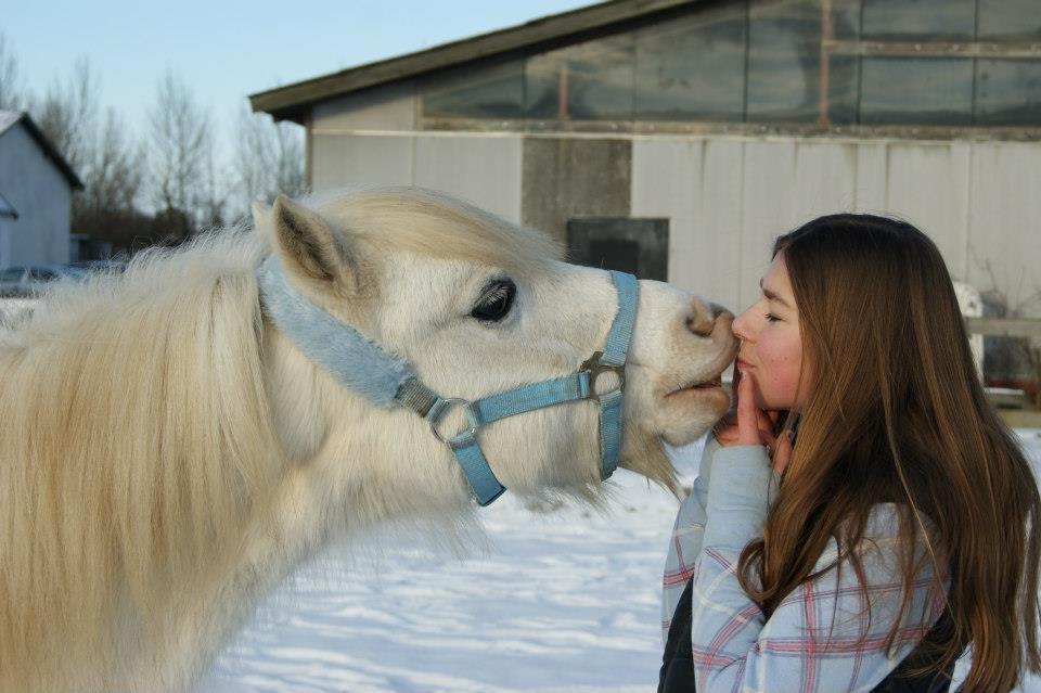 Anden særlig race George (Geomanse) - Dine møsser er de bedste! Du har givet mig så meget kærlighed og selvtillid i den tid jeg har haft dig <3 Du er den mest kærlighedsfulde pony :* Jeg savner dig allerede:'(.. billede 19