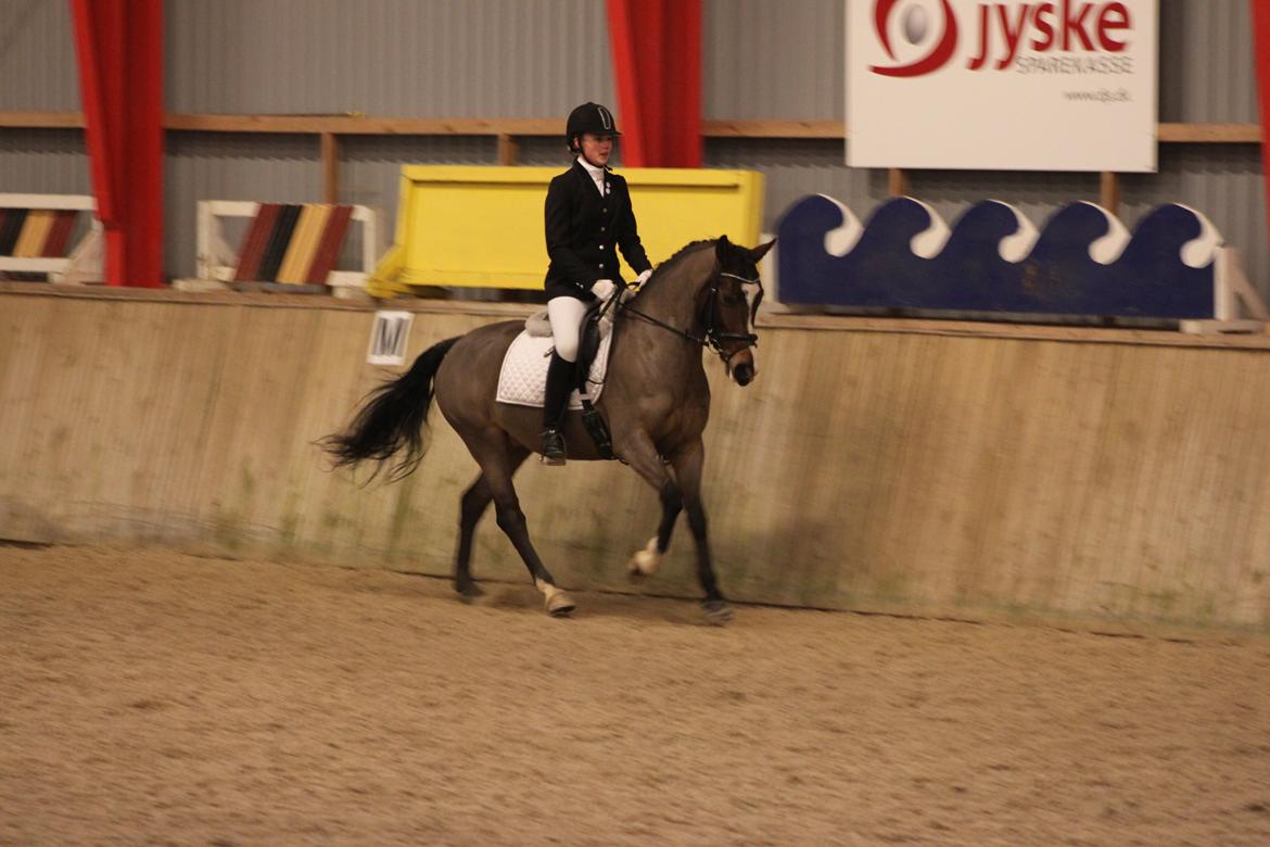 Anden særlig race Bonette  - Mere elegant bliver det nok ikke! LA2 på EGR til 65,00% - 2. plads :-)  billede 20