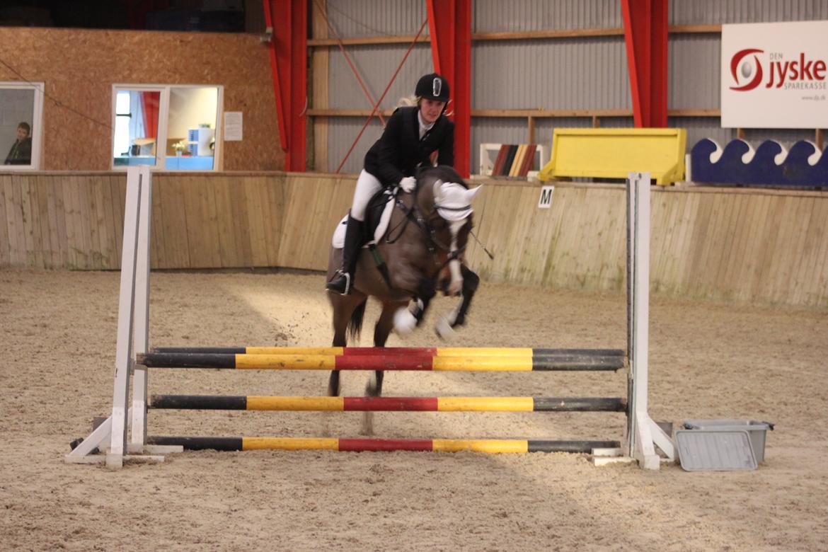 Anden særlig race Bonette  - LD b3 - 8 fejl :-) 
Tyskerspringet som var vældig farligt ;)  billede 30