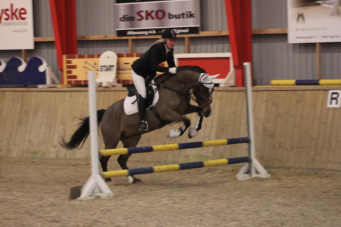 Anden særlig race Bonette  - Ubeskrivelig kærlighed!  billede 9