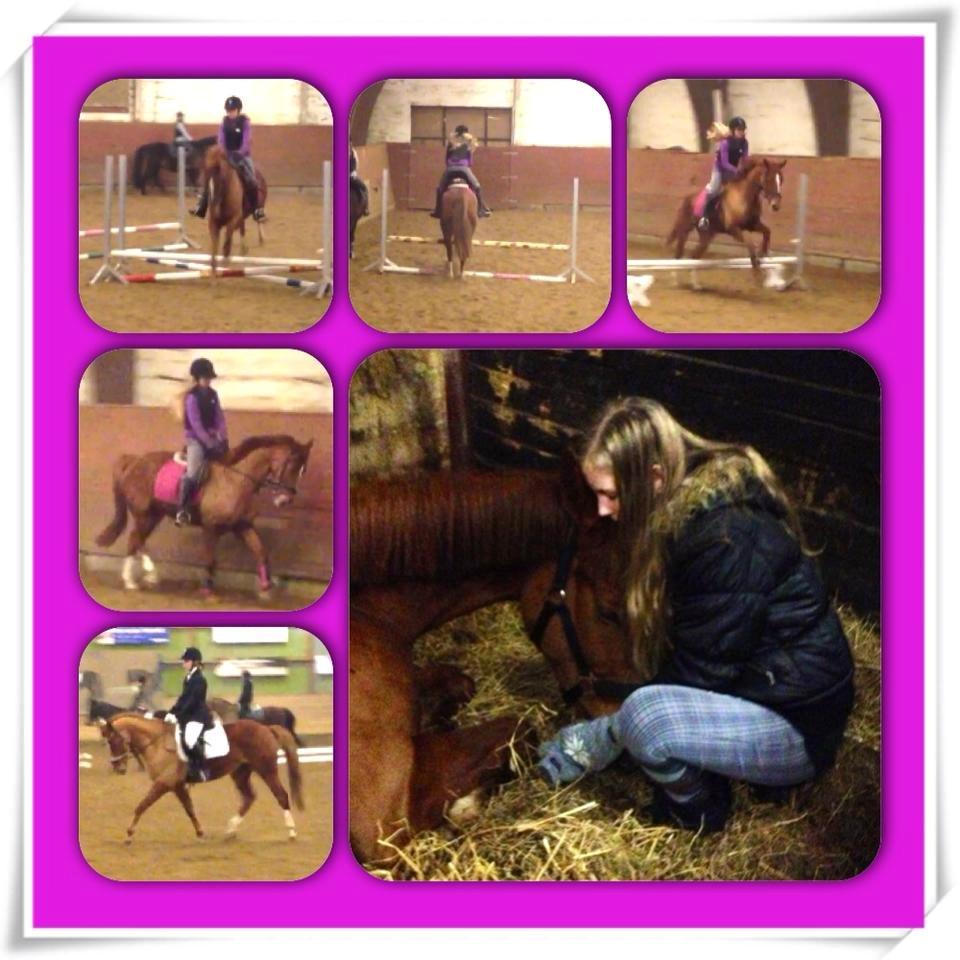 Anden særlig race Ratata <3 - Tjaa vi kan altså godt springe! <3 billede 1