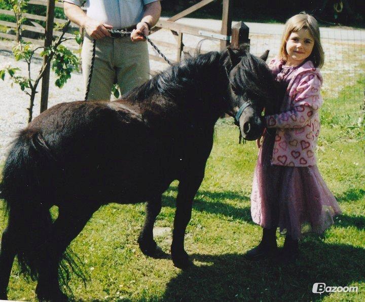 Shetlænder Winsor - 2005, 2'års' dag :) billede 2