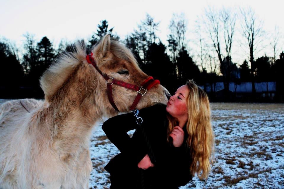 Fjordhest Rolighedens Lupin - Du er den bedste! Du er min verden!<3 billede 5