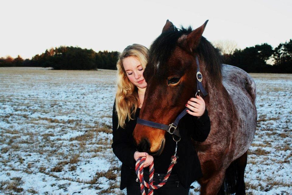 Anden særlig race Donna Karan - Folk som ikke tror på et rigtigt venskab, har aldrig ejet en hest.<3
Jeg elsker dig Donna! <3 billede 4