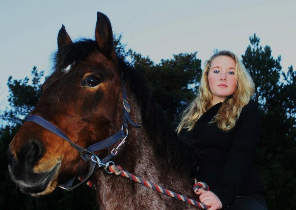 Anden særlig race Donna Karan billede 13