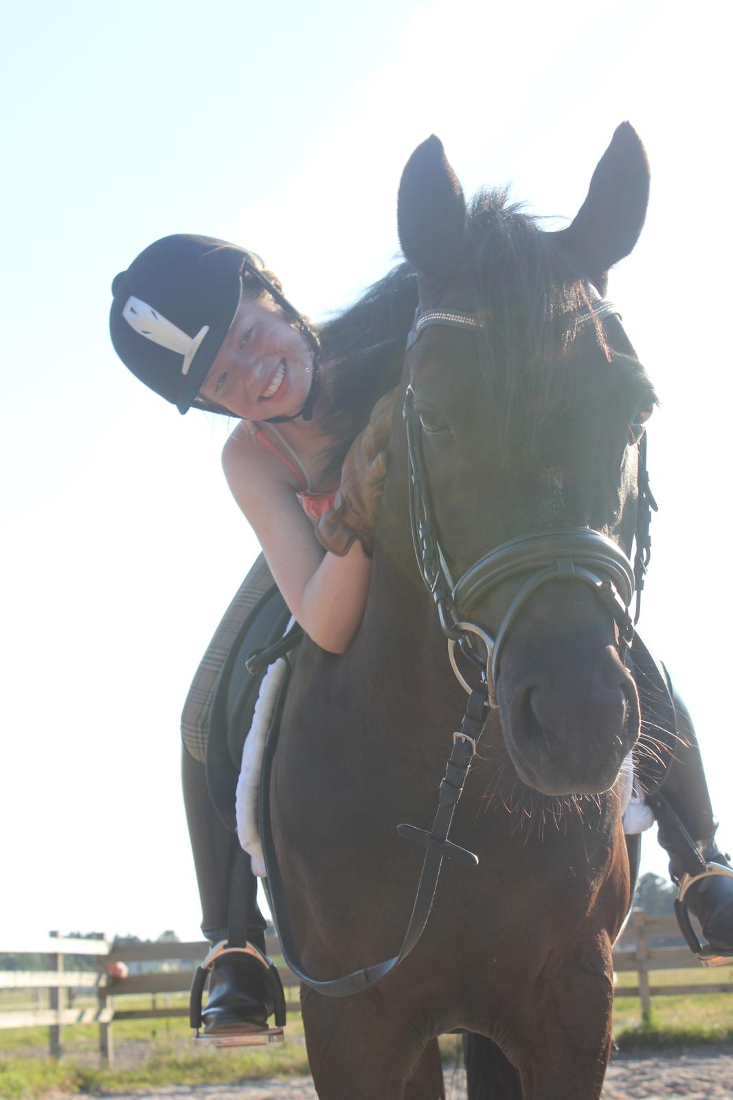 Tysk Sportspony VICTORY A-pony SOLGT - Jeg er så heldig, at have dig <3 Sommer 2012 billede 40