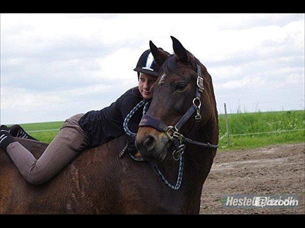 Anden særlig race Tequila alias La Amia billede 13